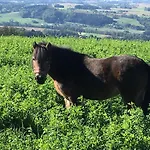 Farm stay Hochhubergut