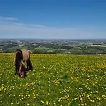Hochhubergut Farm stay Aschach an der Steyr