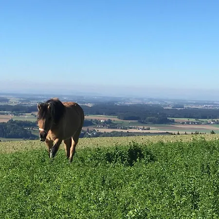 Hochhubergut Bauernhof *