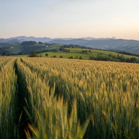 霍楚博格特酒店 * Aschach an der Steyr