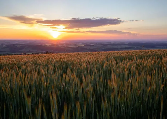 Bauernhof Hochhubergut
