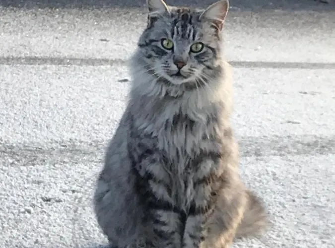 Hochhubergut Bauernhof *