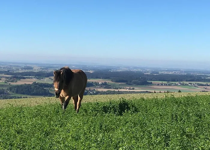 Hochhubergut Bauernhof *