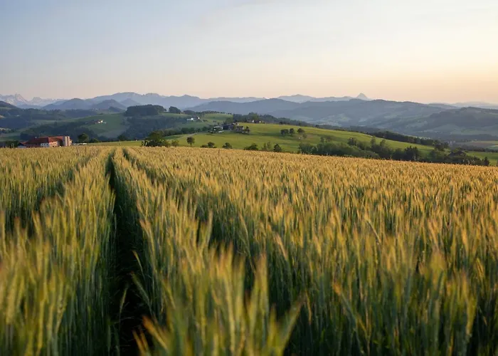 Hochhubergut * Aschach an der Steyr