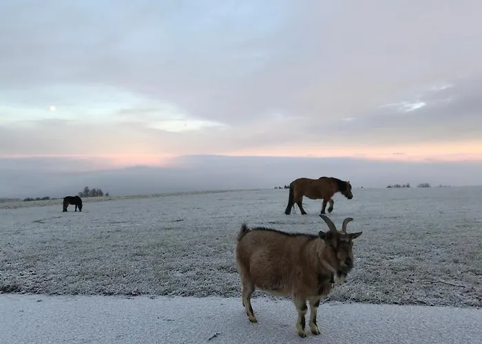 Hochhubergut בית חווה Aschach an der Steyr