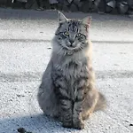 Hochhubergut Agroturismo *