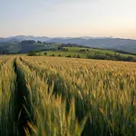 Hochhubergut * Aschach an der Steyr