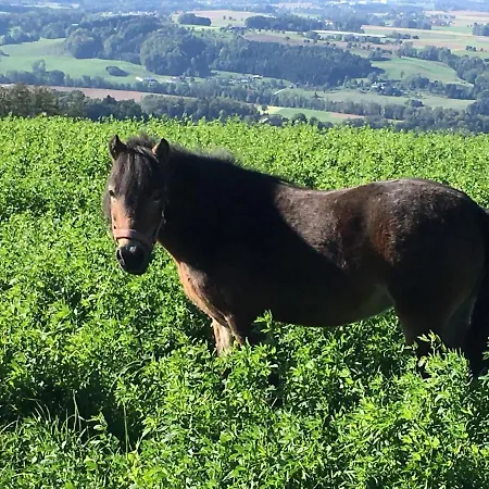 Farm stay Hochhubergut