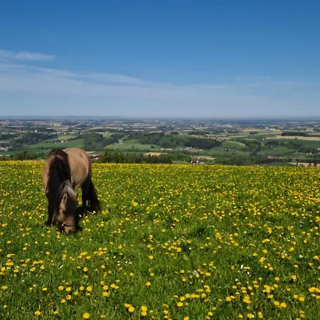 Hochhubergut Farm stay Aschach an der Steyr