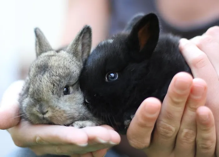 Hochhubergut * Aschach an der Steyr